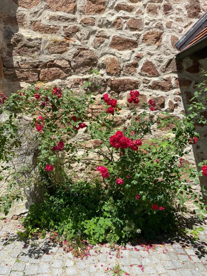 Gasthof Mälzerei Auf Schloss Neuburg Am 3*